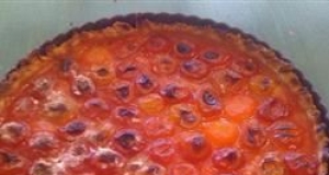 Mamie's Wild Plum Tart