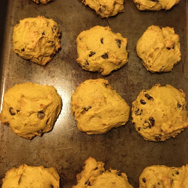 Chocolate Chip Pumpkin Cookies