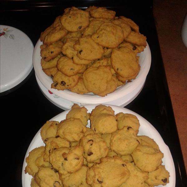 Chocolate Chip Pumpkin Cookies