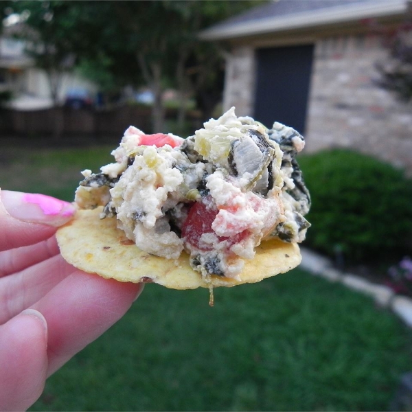 Spicy South of the Border Spinach Cheese Dip