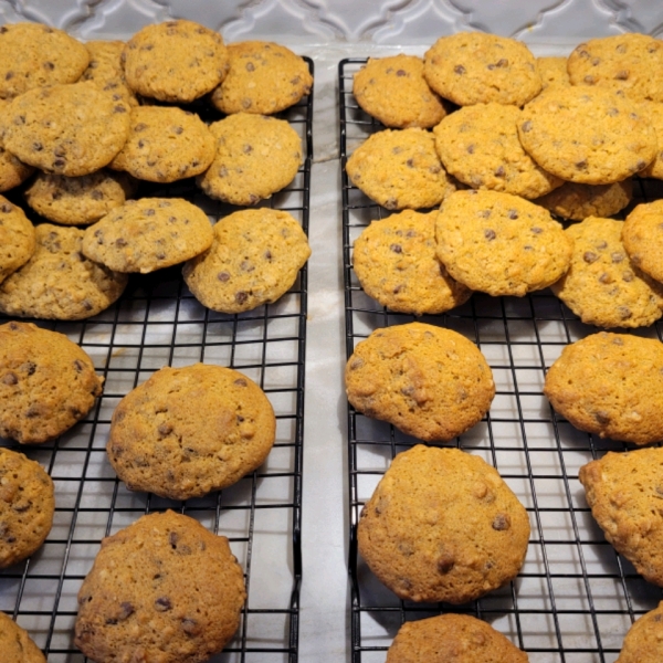 Pumpkin Oatmeal Chocolate Chip Cookies