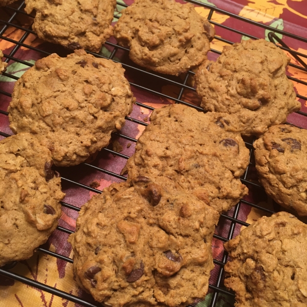 Pumpkin Oatmeal Chocolate Chip Cookies