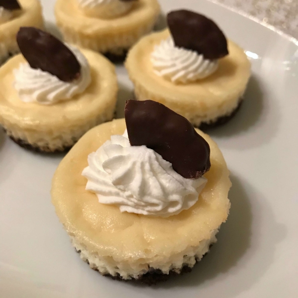 Minty Mini Cheesecake Bites