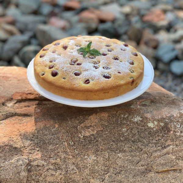 Italian Fresh Purple Grape Cake