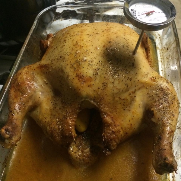 Simply Lemon Baked Chicken