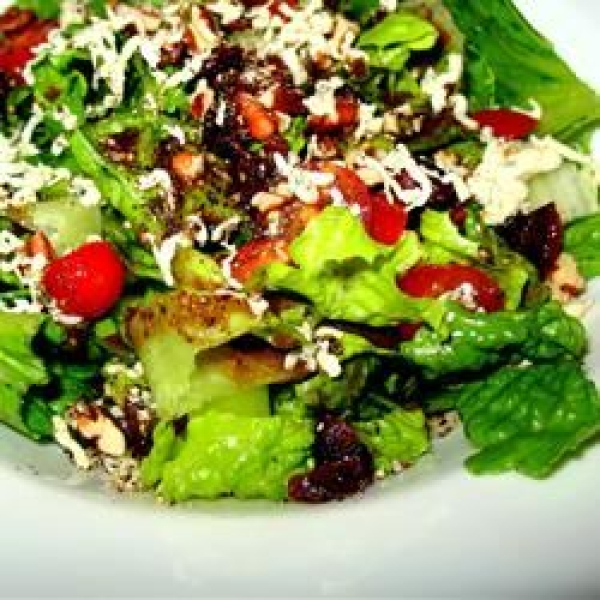 Blue Cheese and Dried Cranberry Tossed Salad