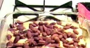 Easy Almond Chicken