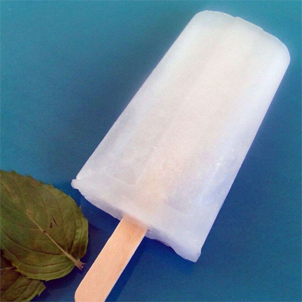 Old-Fashioned Vanilla Ice Pops (a.k.a. Pop Pops)
