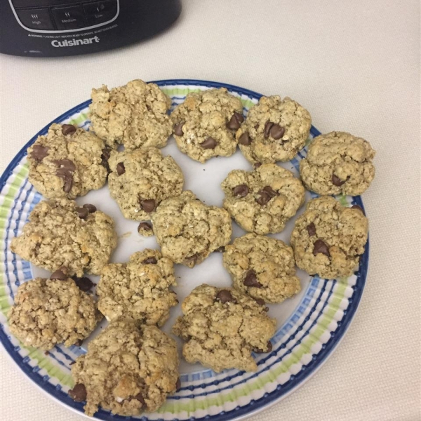 Oatmeal Chocolate Chip Protein Cookies