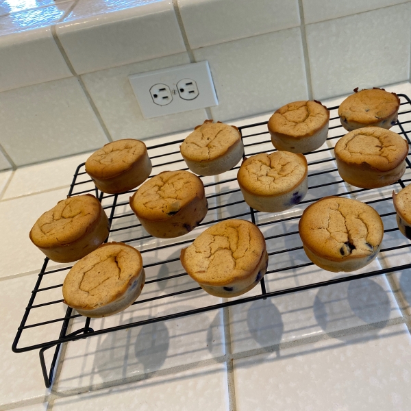 Lemon-Blueberry Protein Muffins