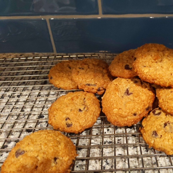 Devouring Oatmeal Chocolate Chip Cookies