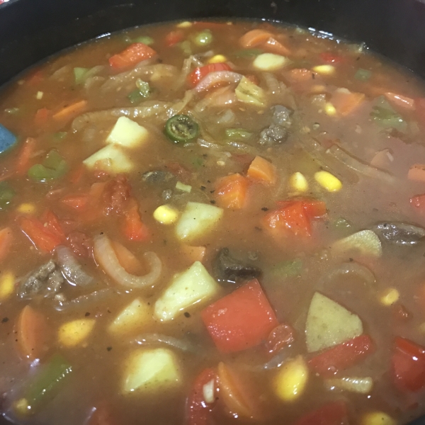 Mexican Beef and Vegetable Stew