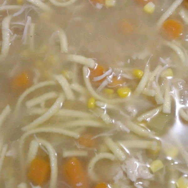 Chicken Noodle Soup II