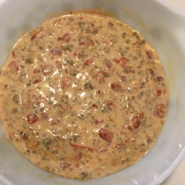 Velveeta Spicy Sausage Dip