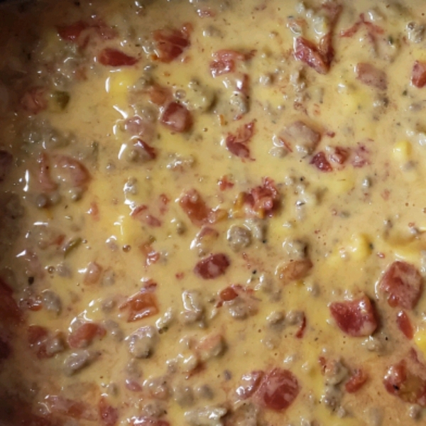 Velveeta Spicy Sausage Dip