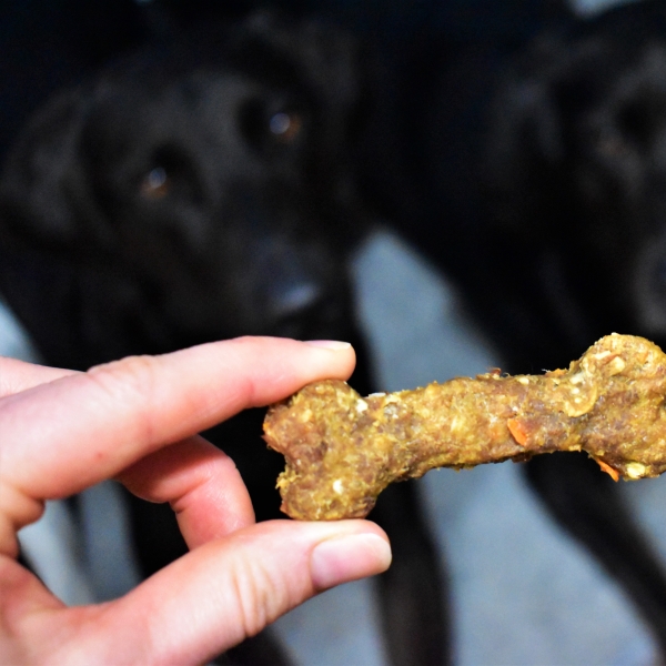 Quick and Easy Homemade Dog Treat