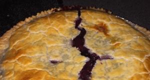 Ultimate Gooey Blueberry Pie