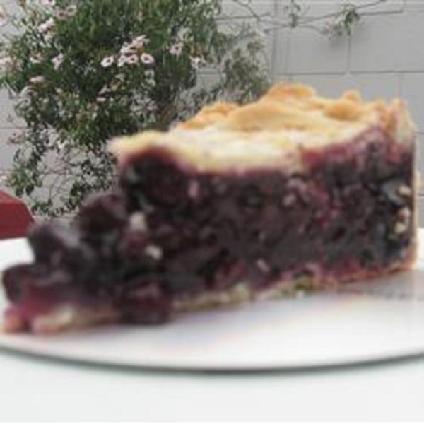 Ultimate Gooey Blueberry Pie