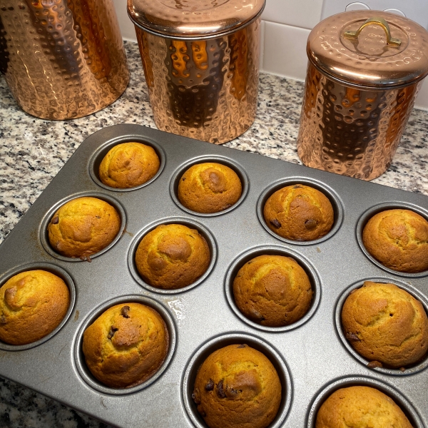 Pumpkin Chip Muffins