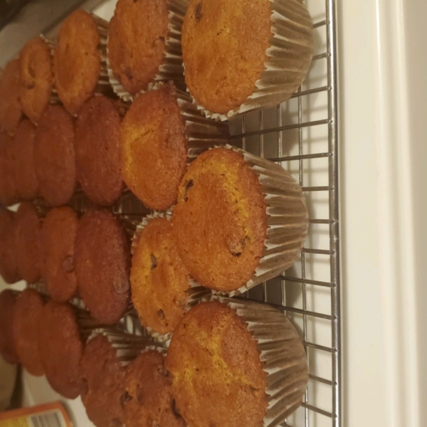 Pumpkin Chip Muffins