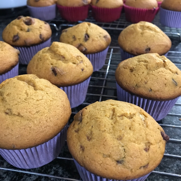 Pumpkin Chip Muffins