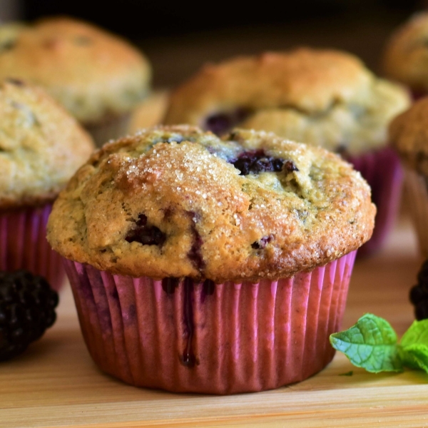 Easy Mulberry Muffins