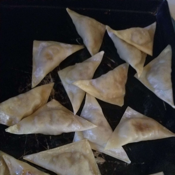 Crispy Wontons