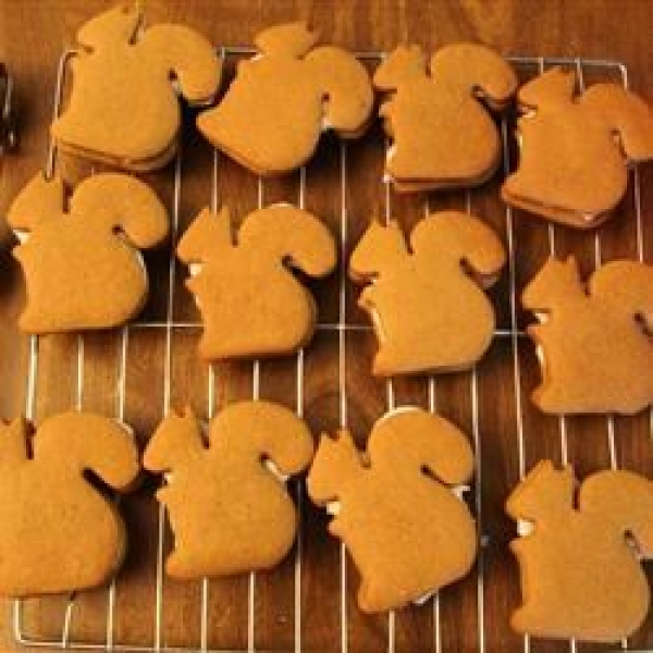 Frosted Molasses Ginger Sandwich Cookies