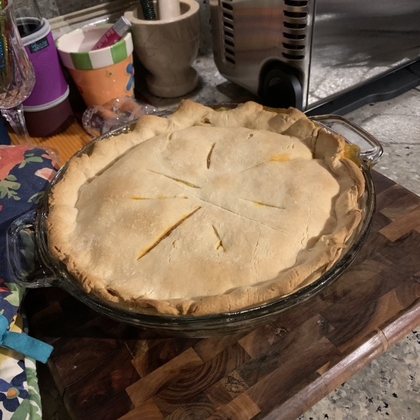 Turkey Pot Pie III