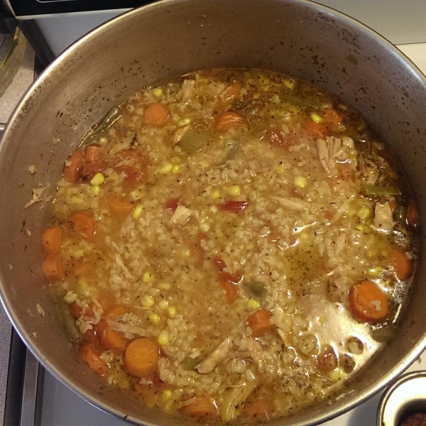 Zippy and Tangy Turkey Rice Soup