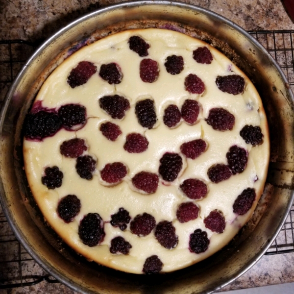 Very Berry Cheesecake