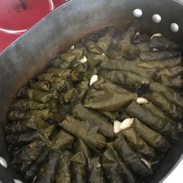 Grape Leaves Aleppo