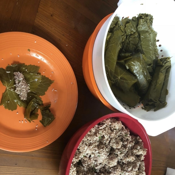 Grape Leaves Aleppo