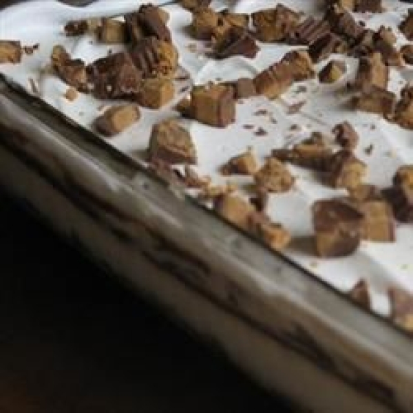 Chocolate Pecan Delite