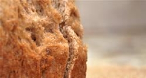 Bread Machine Spelt Bread