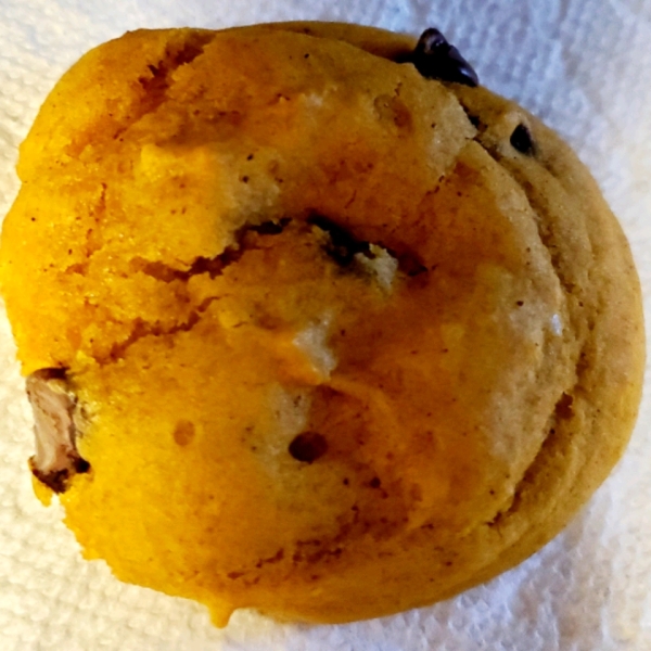 Easy Pumpkin Chip Cookies