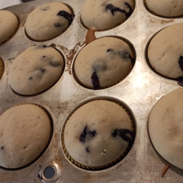 Easy Blueberry Muffins I