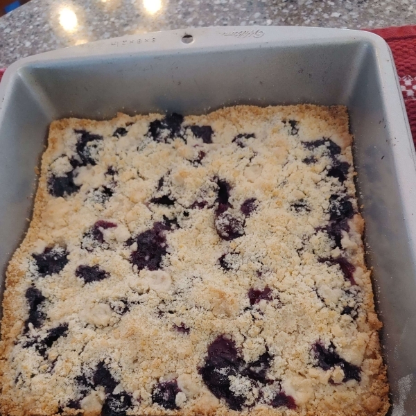 Blueberry Shortbread Bars