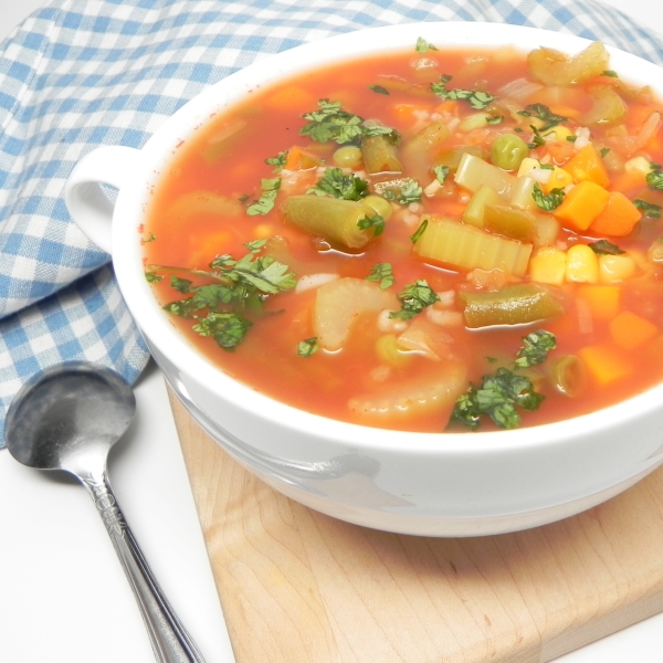 Vegetable Salsa Soup