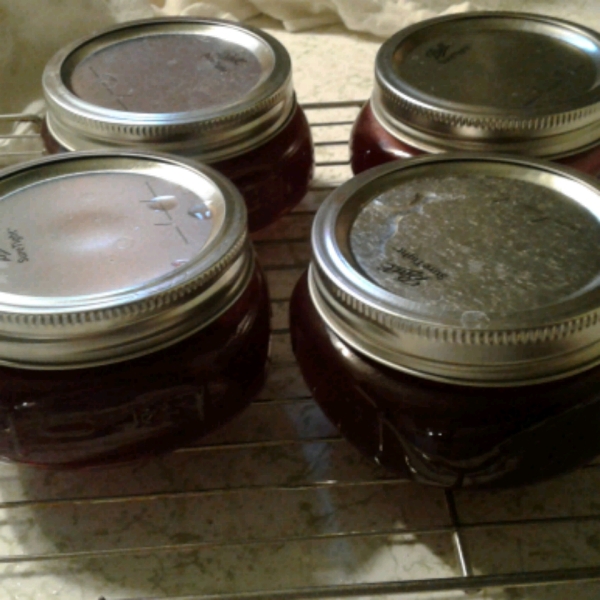 Prickly Pear Jelly