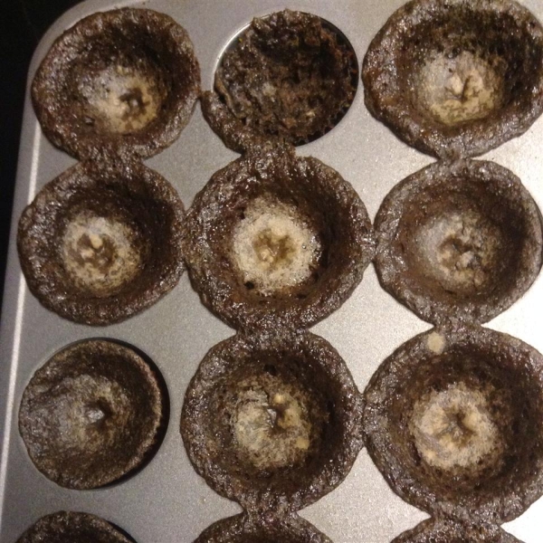 The Best Chocolate Cupcakes Ever!