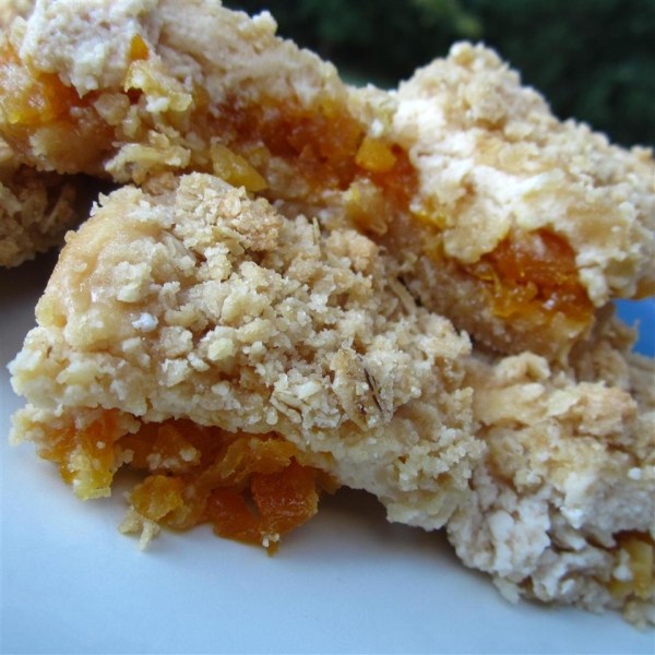 Apricot Bars II