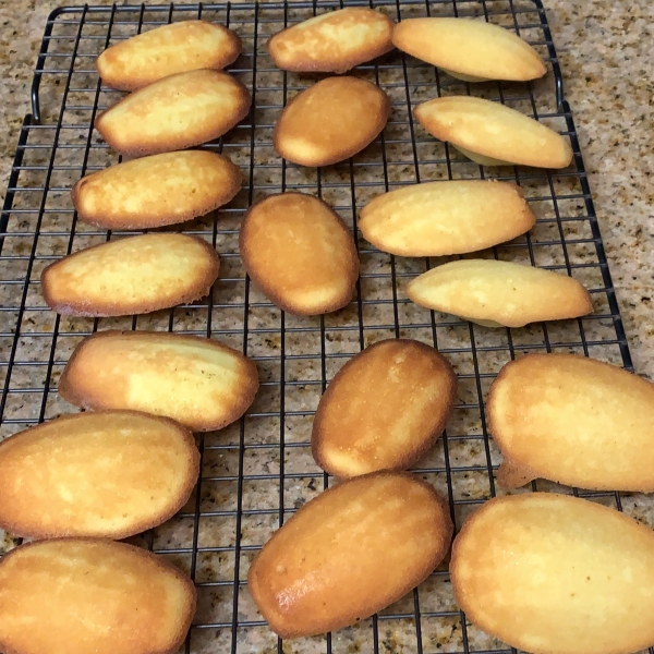 French Butter Cakes (Madeleines)