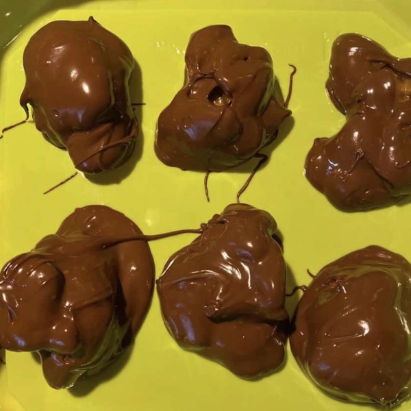 Chocolate Turtles® (The Candy)