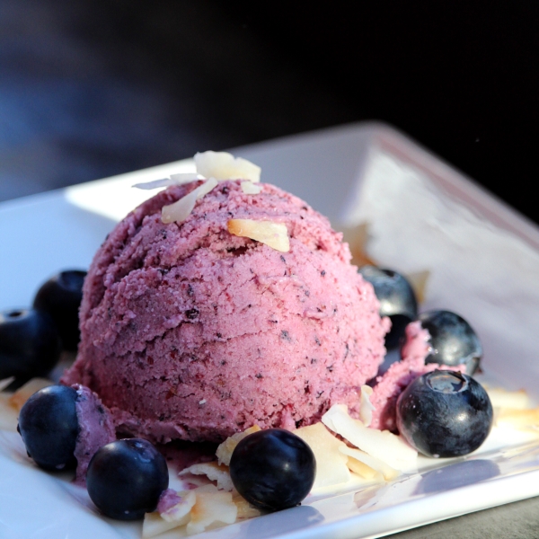 Vegan Blueberry Coconut Ice Cream