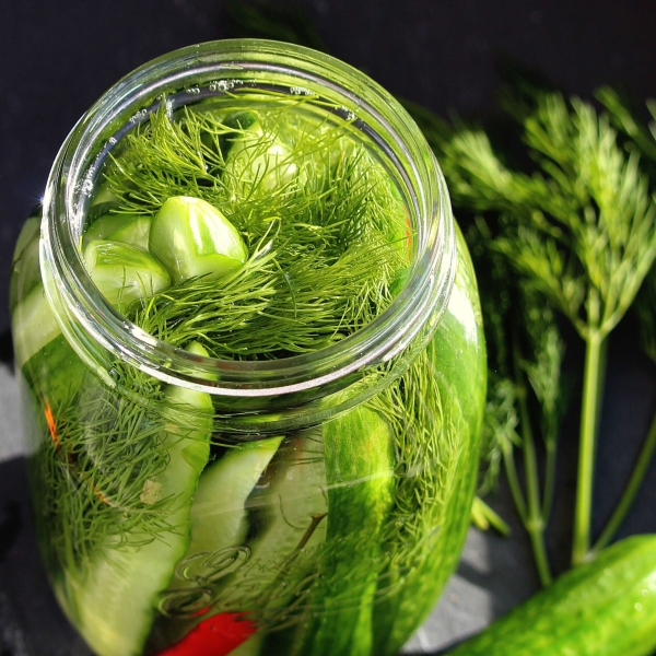 Fermented Kosher-Style Dill Pickles