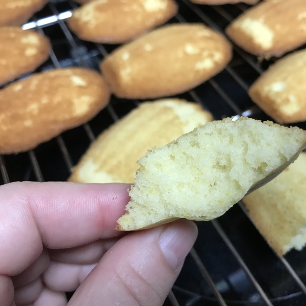 Real Madeleines