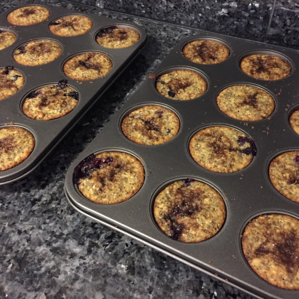 Blueberry Oatmeal Chia Seed Muffins