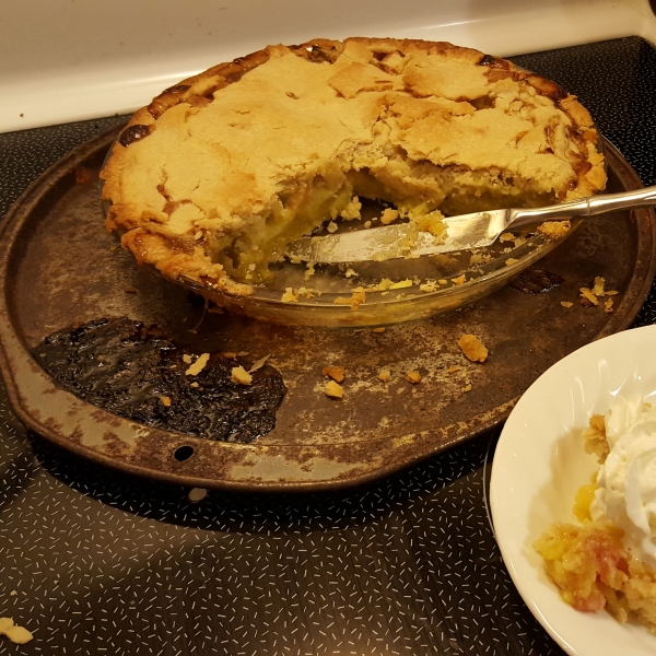 Rhubarb Custard Pie II