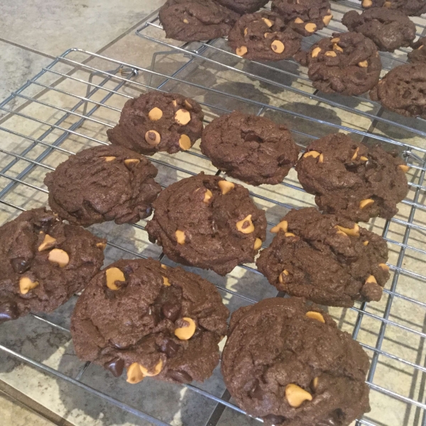 Great Chocolate Chocolate Chip Cookies